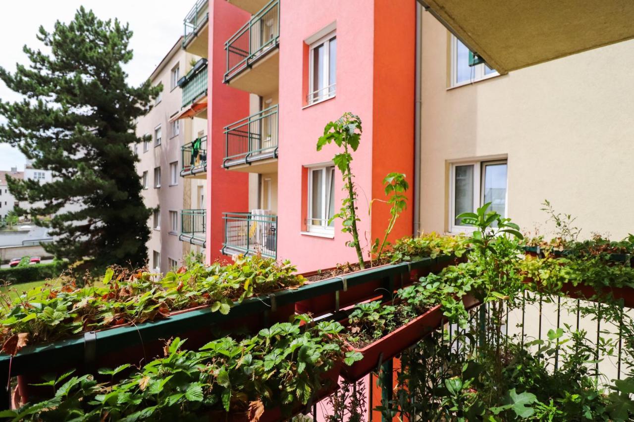 Cozynite Premium Apartment Schoenbrunn 2 维也纳 外观 照片